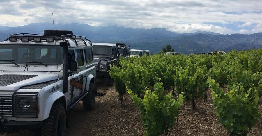 Private Exclusive Manousakis Winery and Vineyard Tour - The Drive to Vatolakkos Hills, Panoramas Included