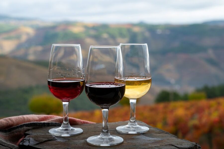 Private Knossos Skip The Line Tour inc. lunch & wine tasting - Who This Tour Is Best For