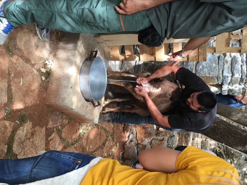 Rethymno 4x4 Safari: Tastes & Farm Experience - Key things I’d focus on before you go