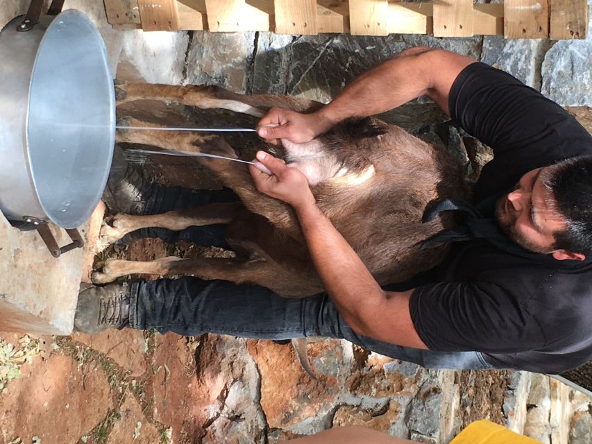 Rethymno 4x4 Safari: Tastes & Farm Experience - Food, Off-Road, and Mountain Views, Why This Day Feels Different