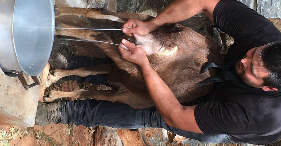 Rethymno 4x4 Safari: Tastes & Farm Experience - How Long It Takes and How to Make the Most of the 7 Hours
