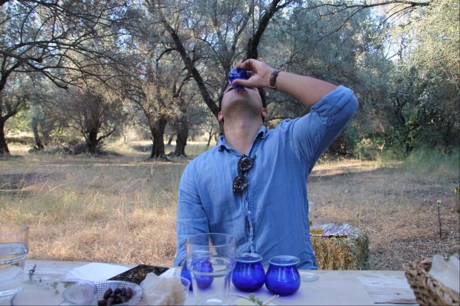 Rethymno: Olive Oil Tasting with Cretan Food Pairing - Practical Tips: Shoes, Sun, and Mosquito Repellent