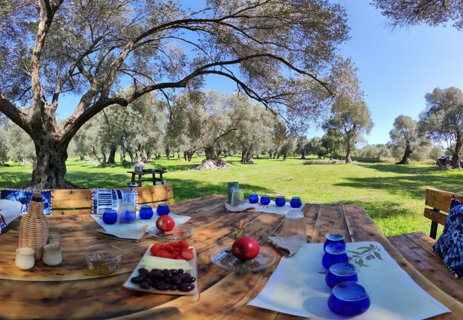 Rethymno: Olive Oil Tasting with Cretan Food Pairing - Price and Value: Is $107 Worth It?