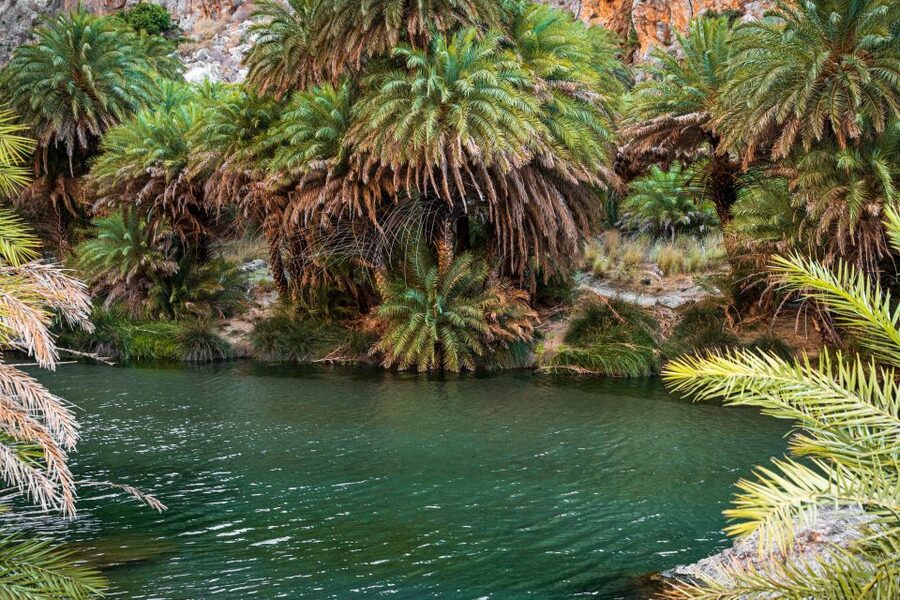 Rethymno: Preveli Beach Damnoni Beach Kourtaliotiko Day Trip - Price and Value: What You Pay For, What Costs Extra