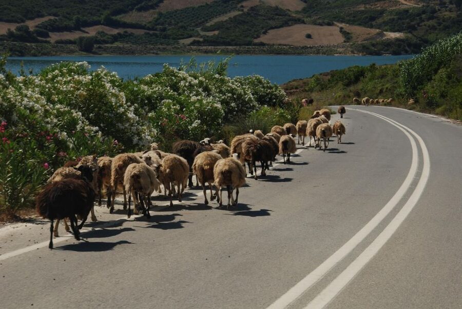 Rethymno | Safari Tour in Private - Fragma Potamon Dam Views: A Photo Stop That Helps You Read the Island