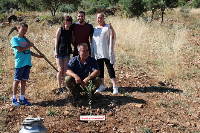 Rethymnon Olive Tree Sponsorship Protect and Plant Tour - Meeting in Rethymno, then heading straight to the olive grove