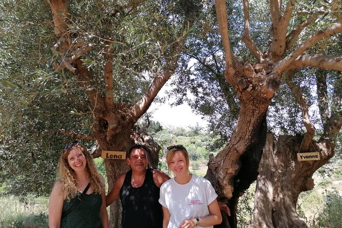 Rethymnon Olive Tree Sponsorship Protect and Plant Tour - Choosing to plant: the Cretan Lazarus project in plain language