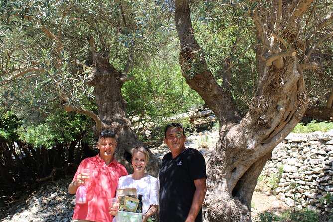 Rethymnon Olive Tree Sponsorship Protect and Plant Tour - Timing, weather, and why that matters more than you think