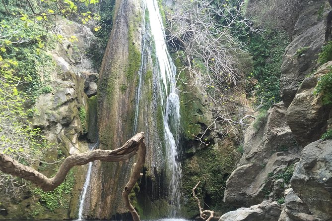 Richtis Waterfall, History, Azoria, OliveTasting, NorthCoast - The best part of many days like this: the guide