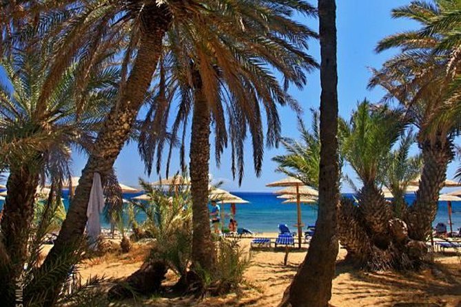RIVIERA - Vai Palm Beach, Toplou Monastery - Top highlights in 5 minutes