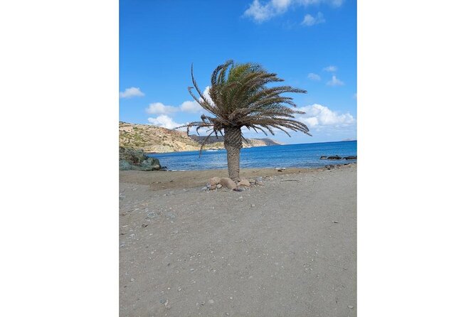 RIVIERA - Vai Palm Beach, Toplou Monastery - From Agios Nikolaos to the Gulf of Mirabello, that long coastal warm-up