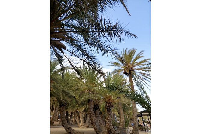 RIVIERA - Vai Palm Beach, Toplou Monastery - Platanos sunset stop: the easy ending that makes the long day worth it
