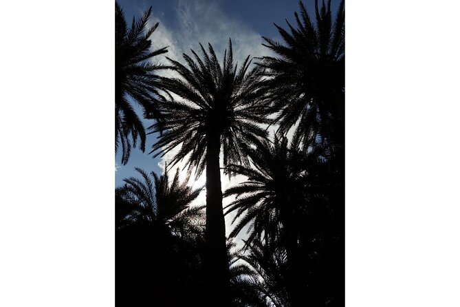 RIVIERA - Vai Palm Beach, Toplou Monastery - Who this 7 to 8 hour Riviera day fits best