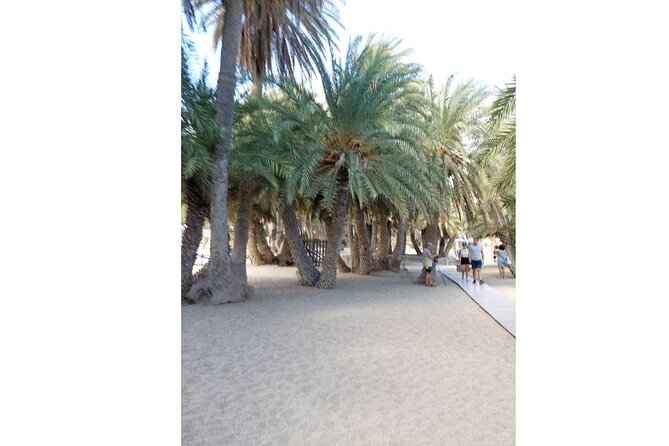 RIVIERA - Vai Palm Beach, Toplou Monastery - Price and what you get: is $107.17 good value?