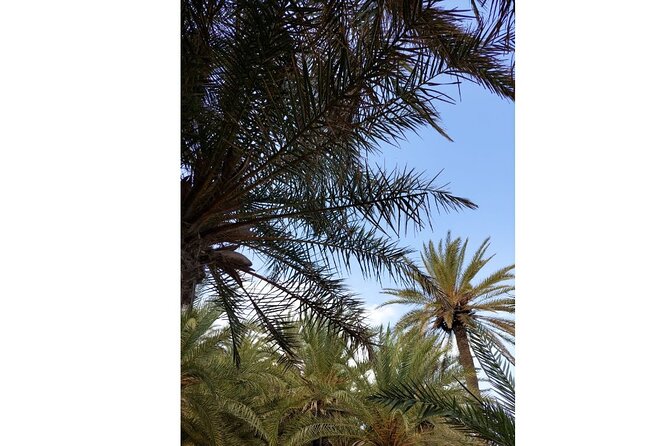 RIVIERA - Vai Palm Beach, Toplou Monastery - Practical tips that will save you time at Toplou and Vai
