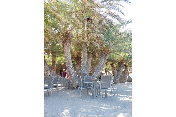 RIVIERA - Vai Palm Beach, Toplou Monastery - Should you book this Toplou and Vai day trip?