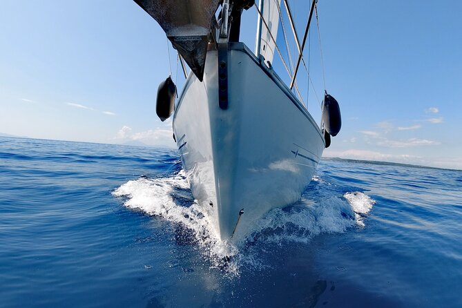 Sailing Cruises Chania - Maherida Beach Route and the Fun of Spotting Kri Kri and Birds