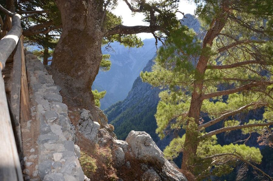 Samariá Gorge Hike: Day Excursion from Chania - Samariá Gorge from Chania: What makes this day so compelling