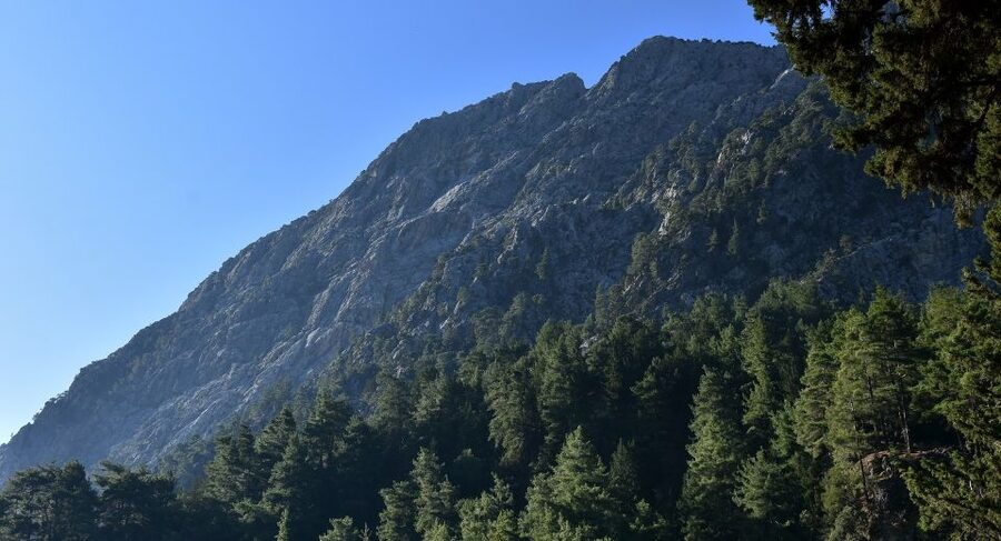 Samariá Gorge Hike: Day Excursion from Chania - The 11-hour flow: From Chania pickup to Agia Roumeli and back