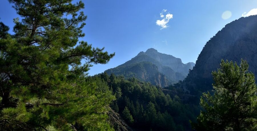 Samariá Gorge Hike: Day Excursion from Chania - What to bring: your feet come first