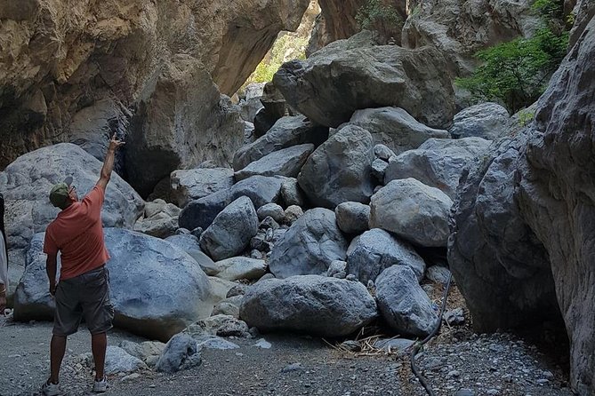 Sarakina Gorge, Kritza, Oliveoil Tasting, Mountains, South Coast - The mountain forest and the pine-road drive