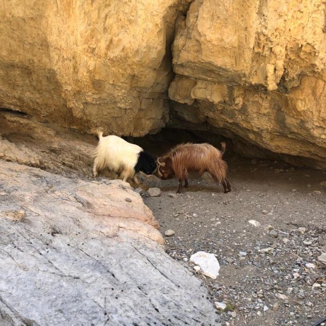 Self-Drive 4X4 Jeep Safari - South Crete Swimming & Canyons - Pottery Workshop in the Middle of the Adventure: More Than a Look