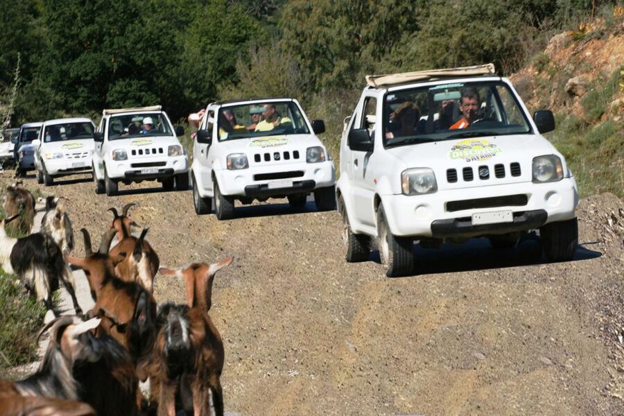 Self-Drive Jeep Safari to South Coast, Palm Beach & Canyons - Ligres Beach Swim: The Built-In Reward at the End of the Drive