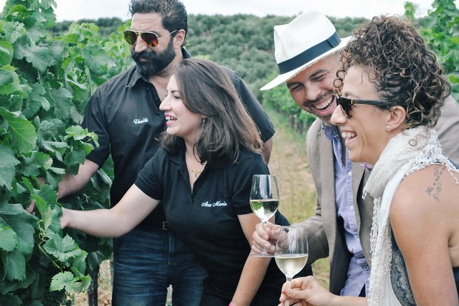 Semi-Private Wine Discovery Tour in Chania - Key Highlights You Should Know Before You Go