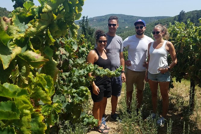 Semi-Private Wine Discovery Tour in Chania - Meet at Platia Markopoulou, Then Settle Into the Day