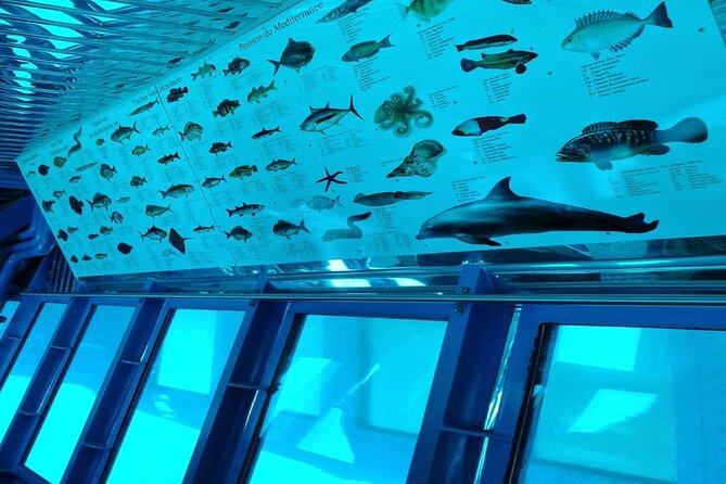 Semi-Submarine Tour from Agios Nikolaos - How long should you expect to watch, and what changes your experience?