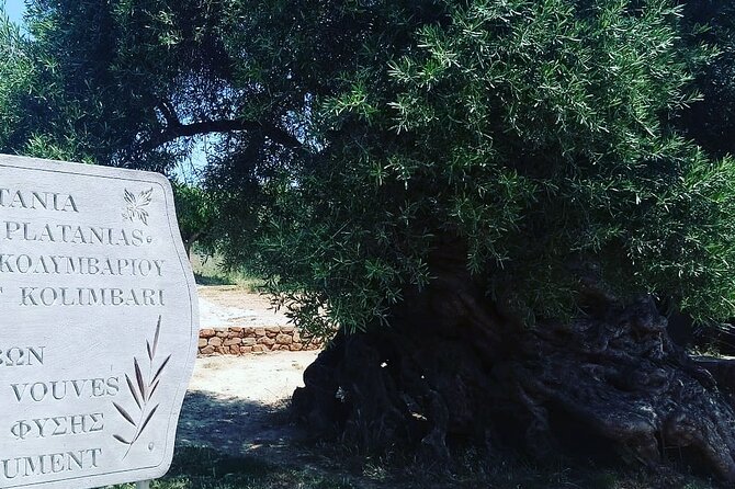 Sips of Crete: Flavors, Legends & Hidden Gems - Timing and how the 6 to 7 hours actually land