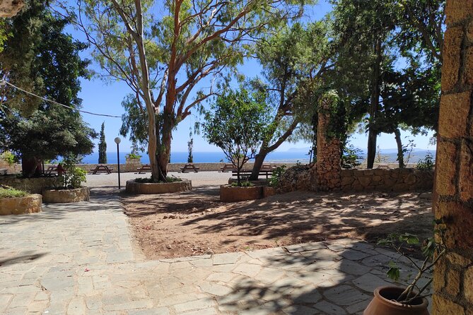 Sips of Crete: Flavors, Legends & Hidden Gems - Anoskeli Winery Olive Mill: tree to bottle, plus wine pairings
