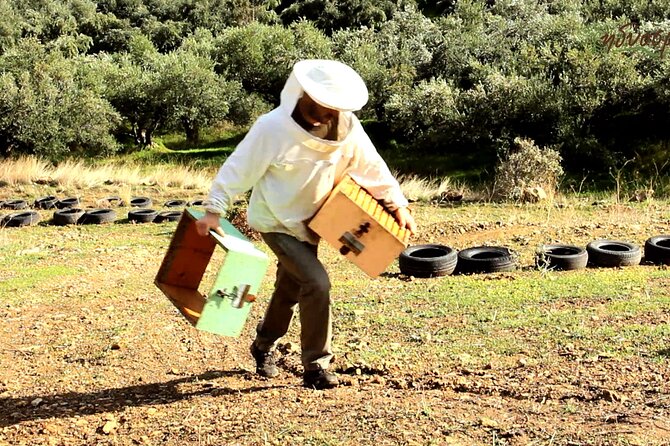 Small-Group Honey & Extra Virgin Olive Oil Tasting Tour in Crete - Key highlights worth planning for