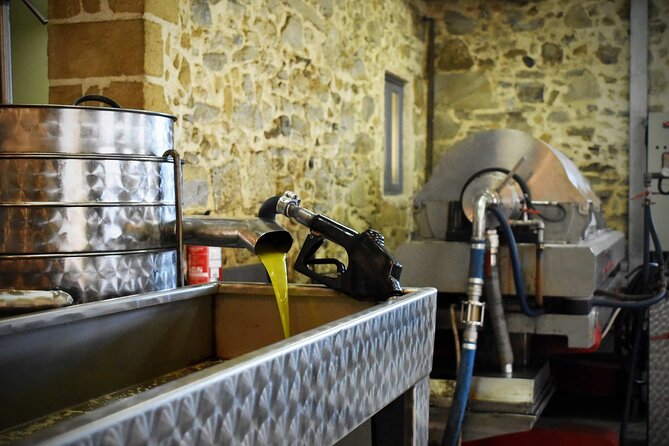 Small-Group Honey & Extra Virgin Olive Oil Tasting Tour in Crete - How you learn the olive oil process, from fruit to cold pressed oil