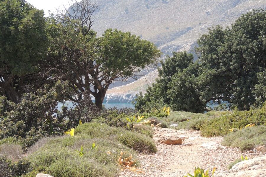 South Crete: Sarakinas Gorge Hike, Swim & Jeep Safari - Southeast Crete by Jeep, Gorge, and Beach
