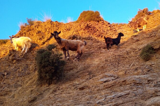 Sunset Jeep Tour in Crete - Avdou and the Ebassas Gorge Climb: Dirt Roads, Herbs, and Mountain Views