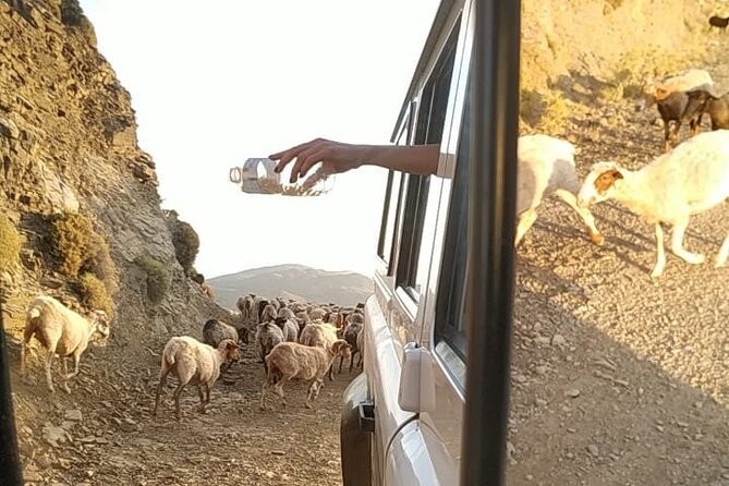 Sunset Jeep Tour in Crete - Ano Kera BBQ Dinner: Wine and Water After the Mountain Ride
