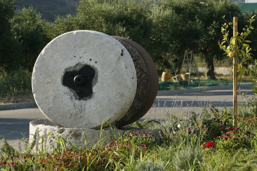 The Terra Creta Olive Oil Experience Tour - Key highlights that make this tour worth your hour