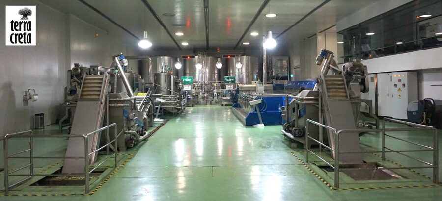 The Terra Creta Olive Oil Experience Tour - Comfort, pacing, and the small details that make it easy