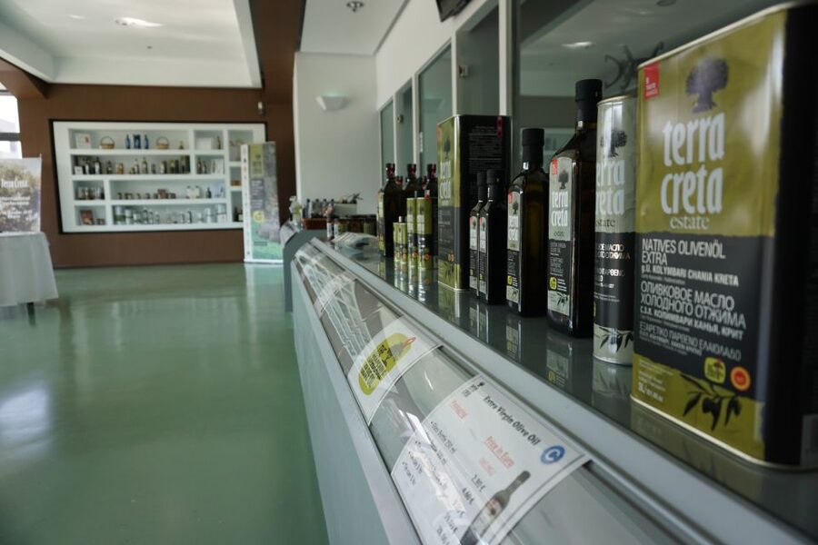 The Terra Creta Olive Oil Experience Tour - Price and value: why $11 makes sense for what you get