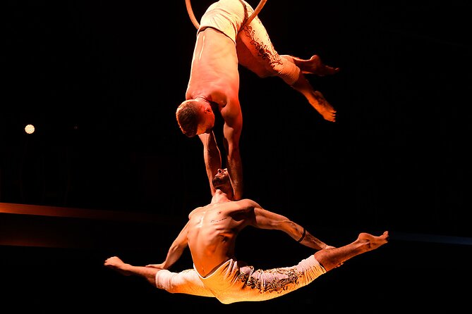 Troy Dinner-Show - Family-friendly vs adult-focused: picking the right show for your mood