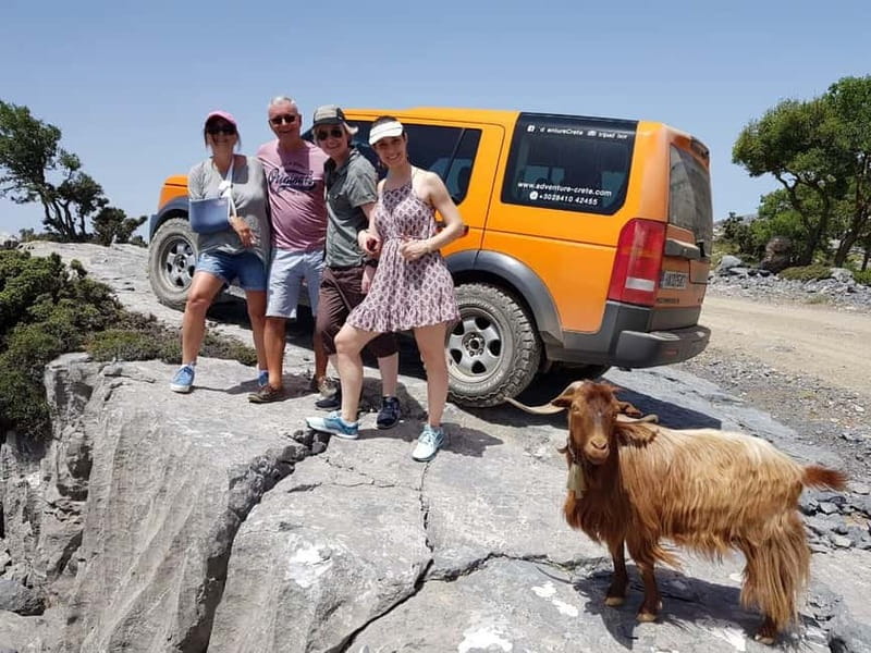 VIP Full-Day Private Tour (See the best with Professionals) - Your Ride: Land Rover Discovery, Air-Conditioning, and a Pro Driver