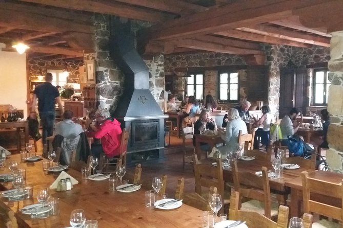 Wine & Olive Oil Tour with Lunch at Milia Mountain Retreat - Vouves Olive Tree Museum: coffee time beside a 3000-year-old olive